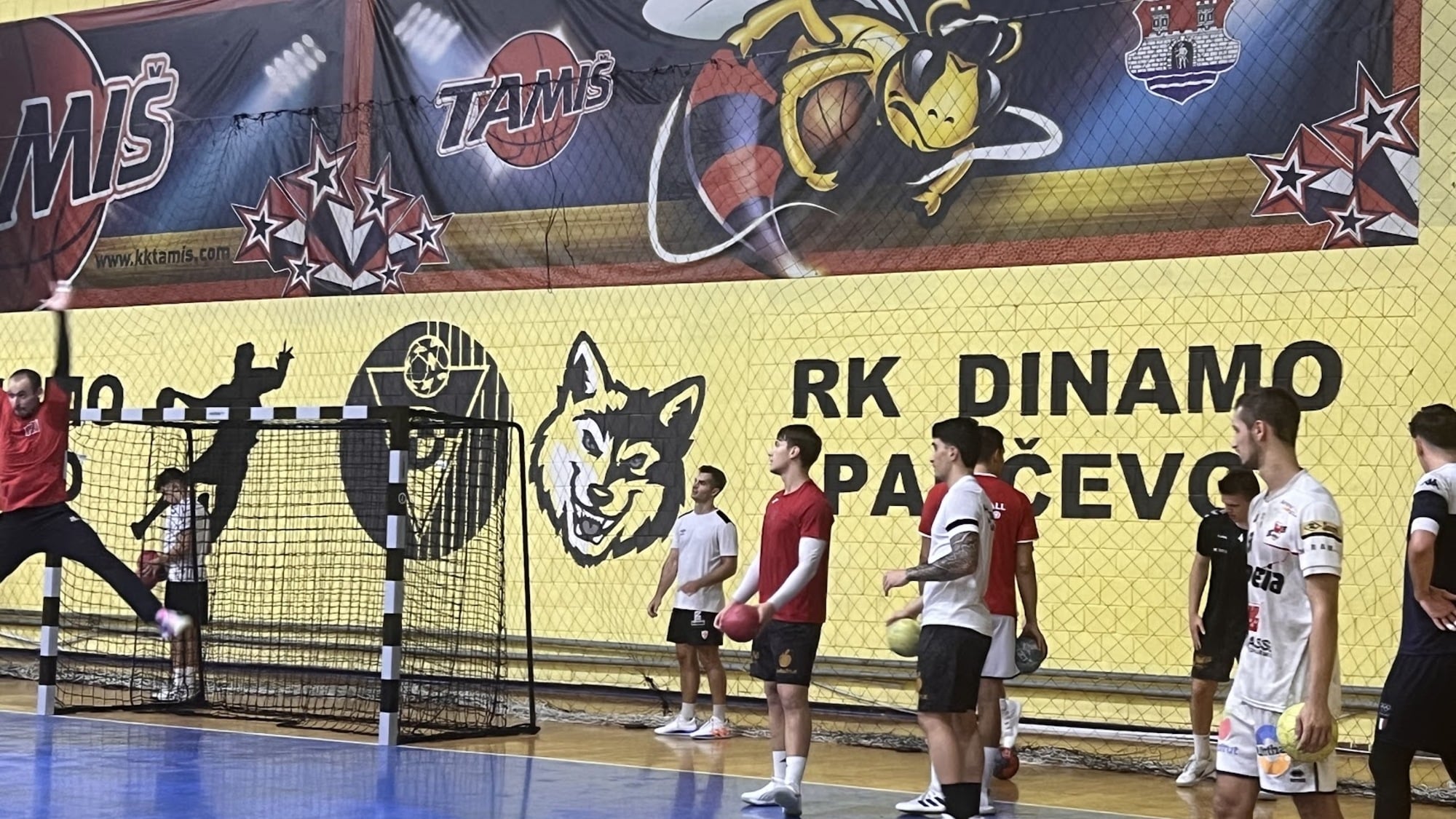 Die Black Devils sind bereit für das Rückspiel des EHF Cups gegen Dinamo Pancevo